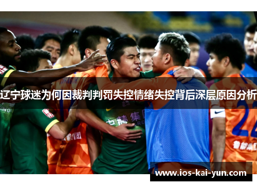 辽宁球迷为何因裁判判罚失控情绪失控背后深层原因分析